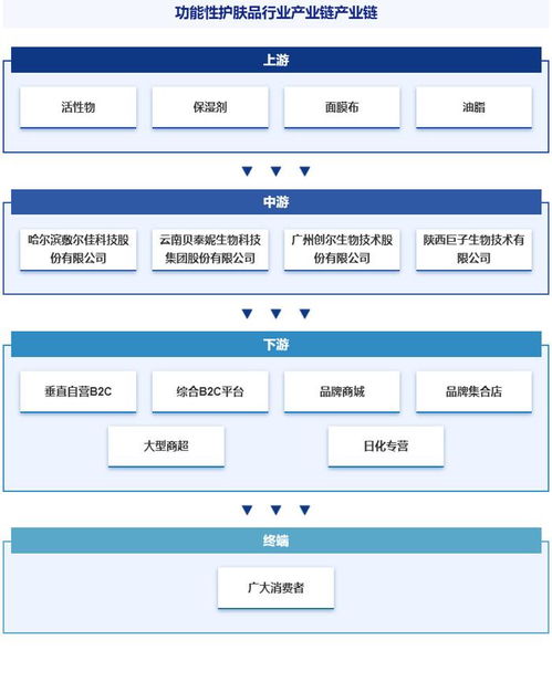 中国功能性护肤品行业分析 政策、市场集中度、竞争格局与发展趋势预测